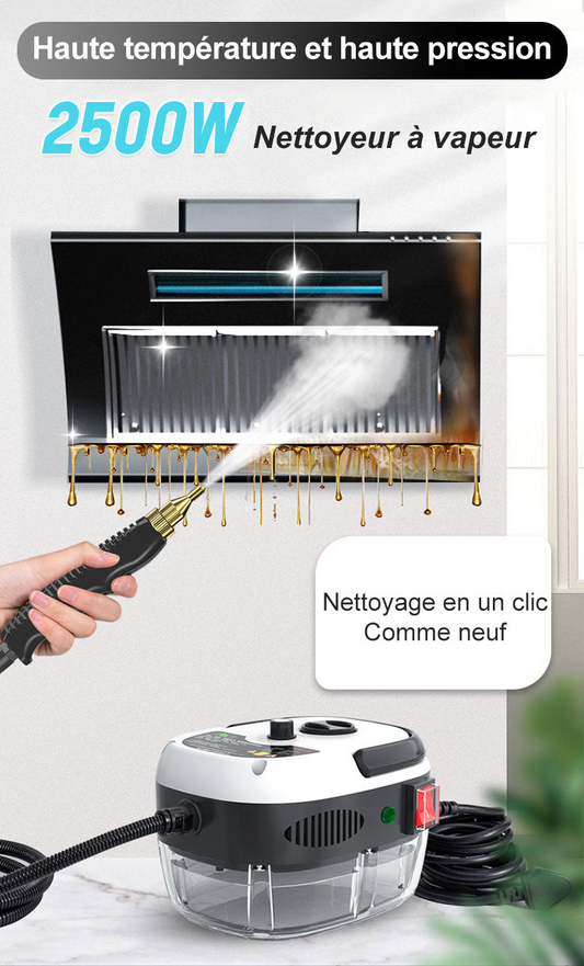 Nettoyeur à Vapeur à Haute Température Pressurisée Portatif